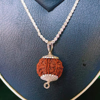 5 Mukhi Rudraksha Silver Chain Pendent - Certified