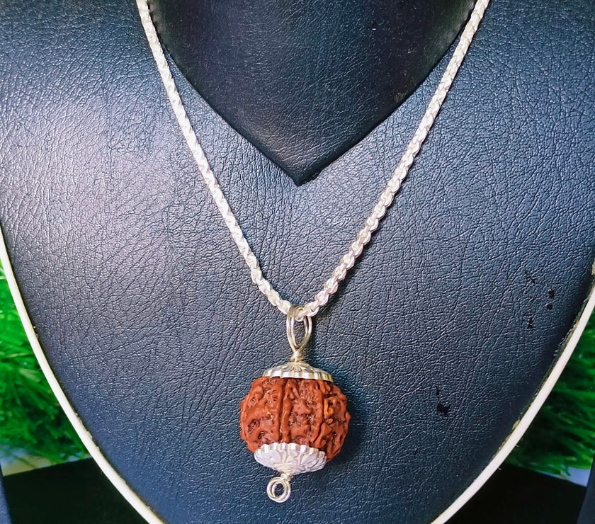 5 Mukhi Rudraksha Silver Chain Pendent - Certified