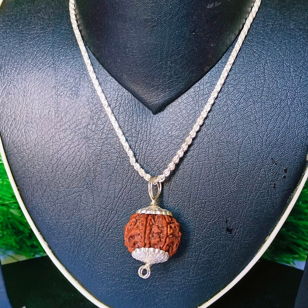 5 Mukhi Rudraksha Silver Chain Pendent - Certified