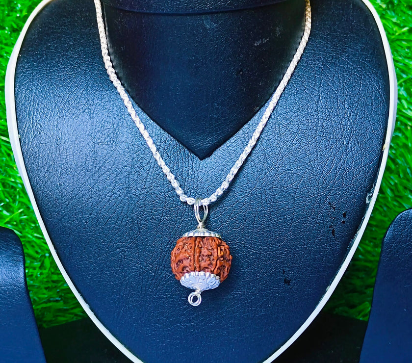 6 Mukhi Rudraksha Silver Chain Pendent - Certified