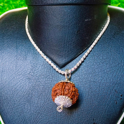 6 Mukhi Rudraksha Silver Chain Pendent - Certified