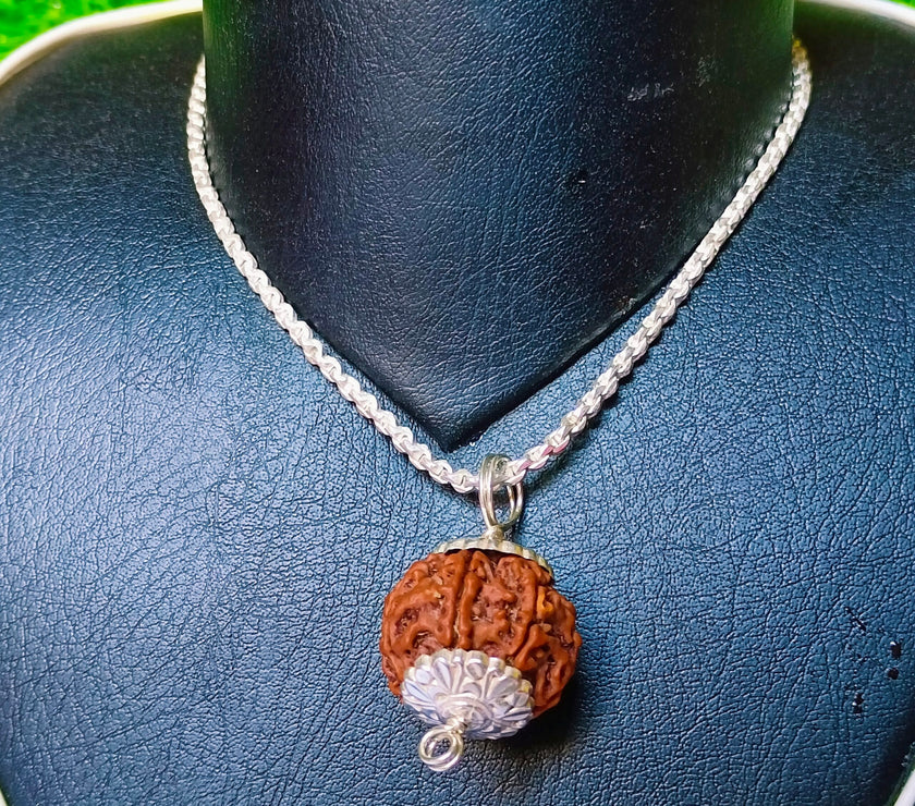 6 Mukhi Rudraksha Silver Chain Pendent - Certified
