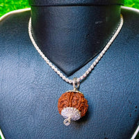 6 Mukhi Rudraksha Silver Chain Pendent - Certified