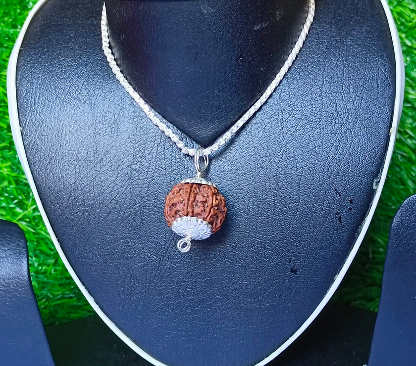 6 Mukhi Rudraksha Silver Chain Pendent - Certified
