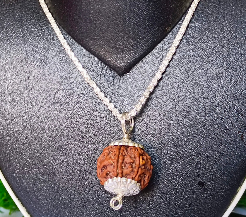 7 Mukhi Rudraksha Silver Chain Pendent - Certified