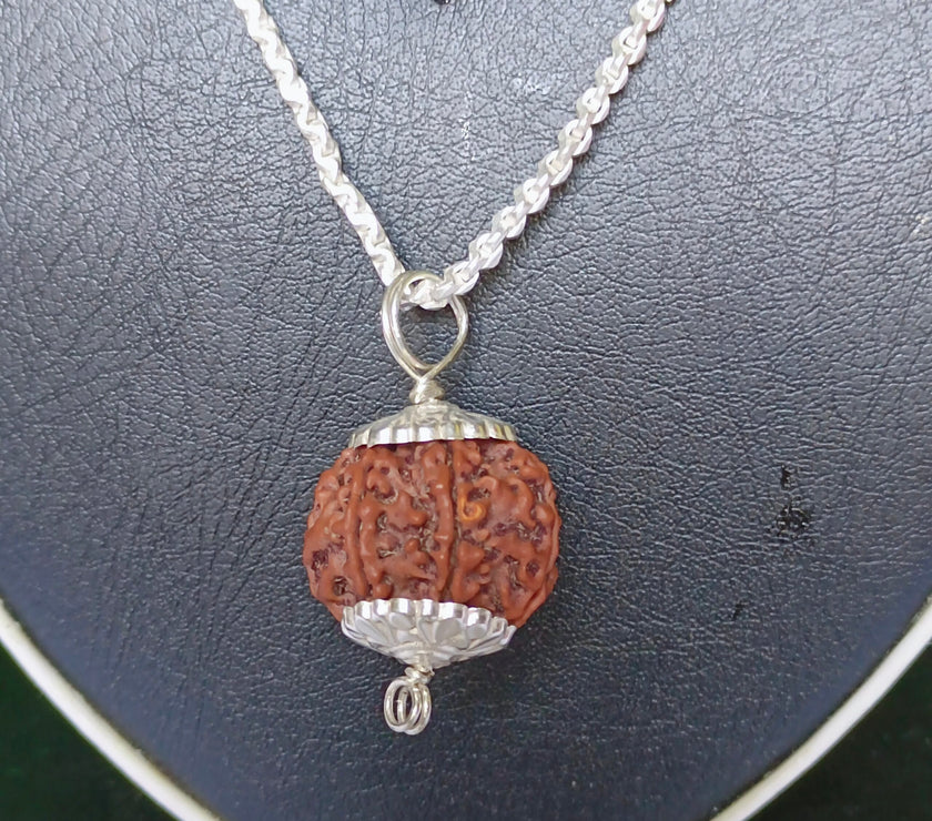 7 Mukhi Rudraksha Silver Chain Pendent - Certified