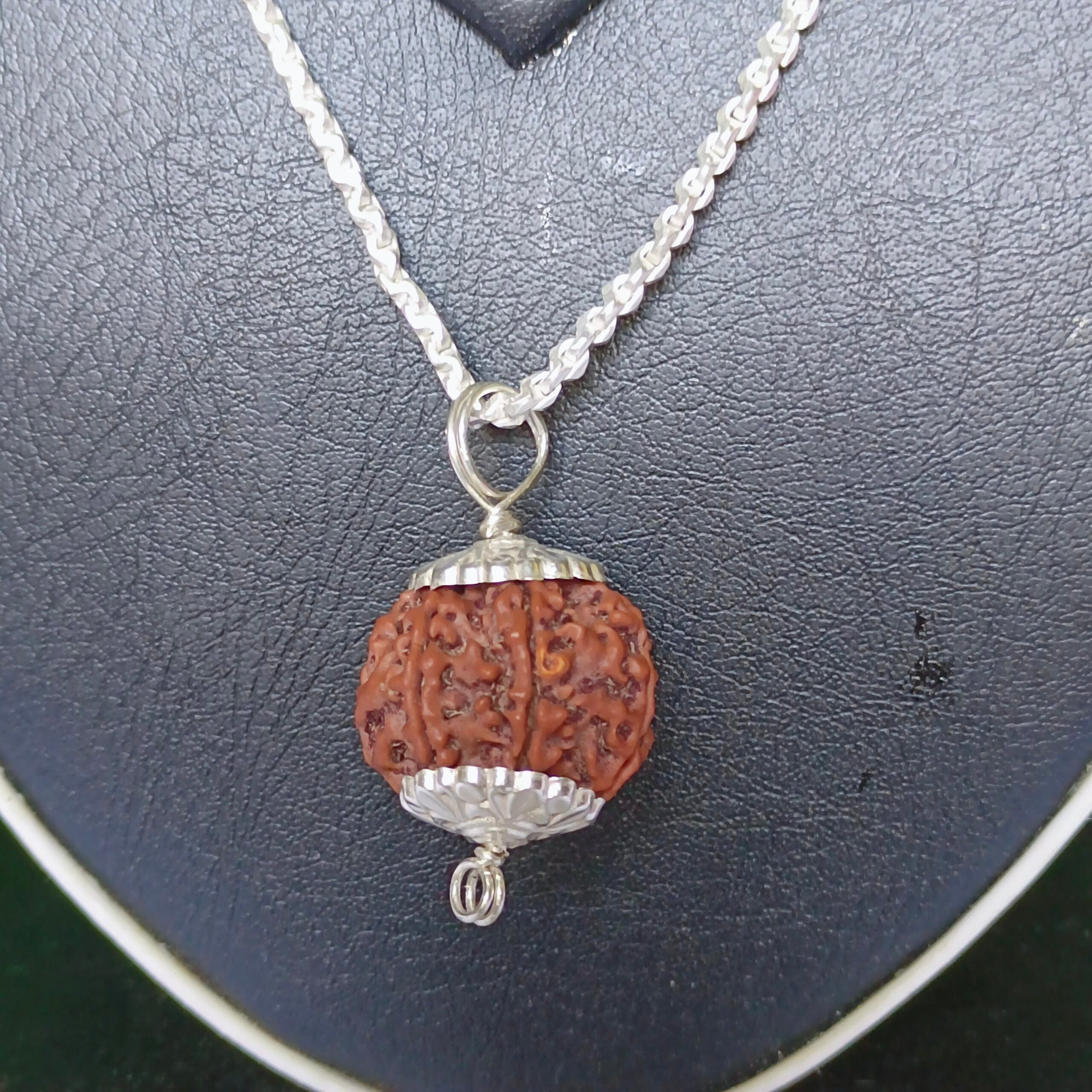Mukhi Rudraksha Silver Chain Pendent Certified1