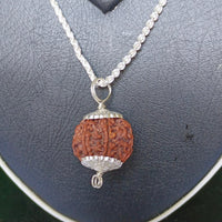 7 Mukhi Rudraksha Silver Chain Pendent - Certified