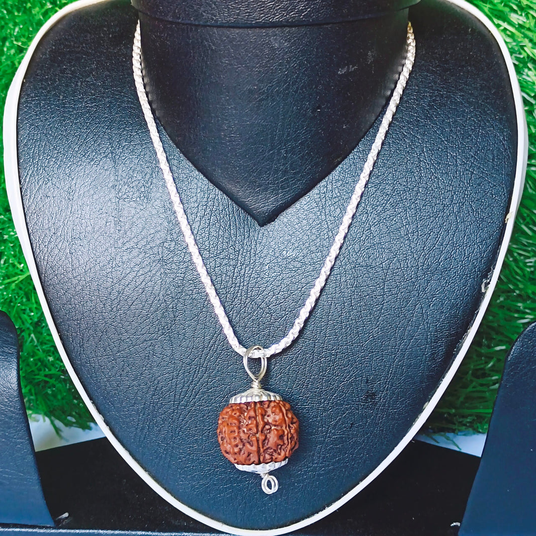 8 Mukhi Rudraksha Silver Chain Pendent - Certified