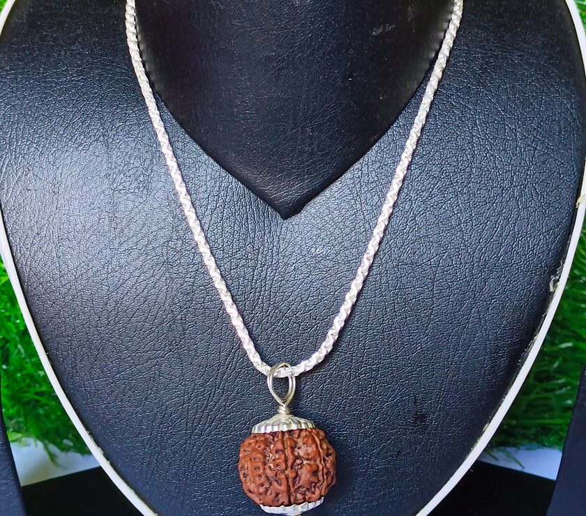 8 Mukhi Rudraksha Silver Chain Pendent - Certified