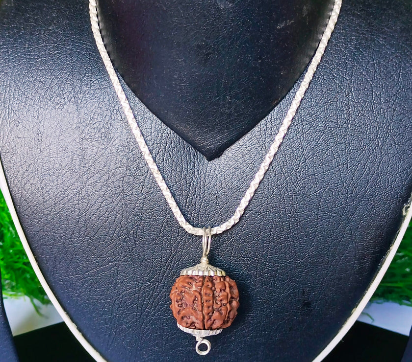 8 Mukhi Rudraksha Silver Chain Pendent - Certified