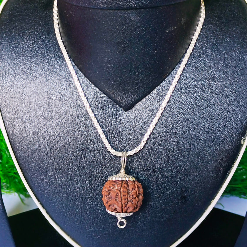 8 Mukhi Rudraksha Silver Chain Pendent - Certified