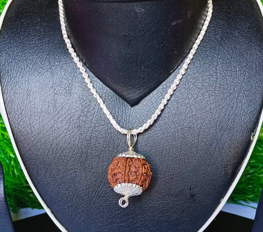 9 Mukhi Rudraksha Silver Chain Pendent - Certified