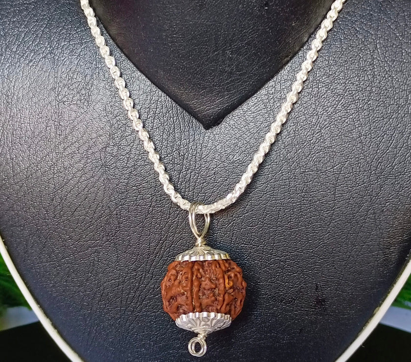 9 Mukhi Rudraksha Silver Chain Pendent - Certified