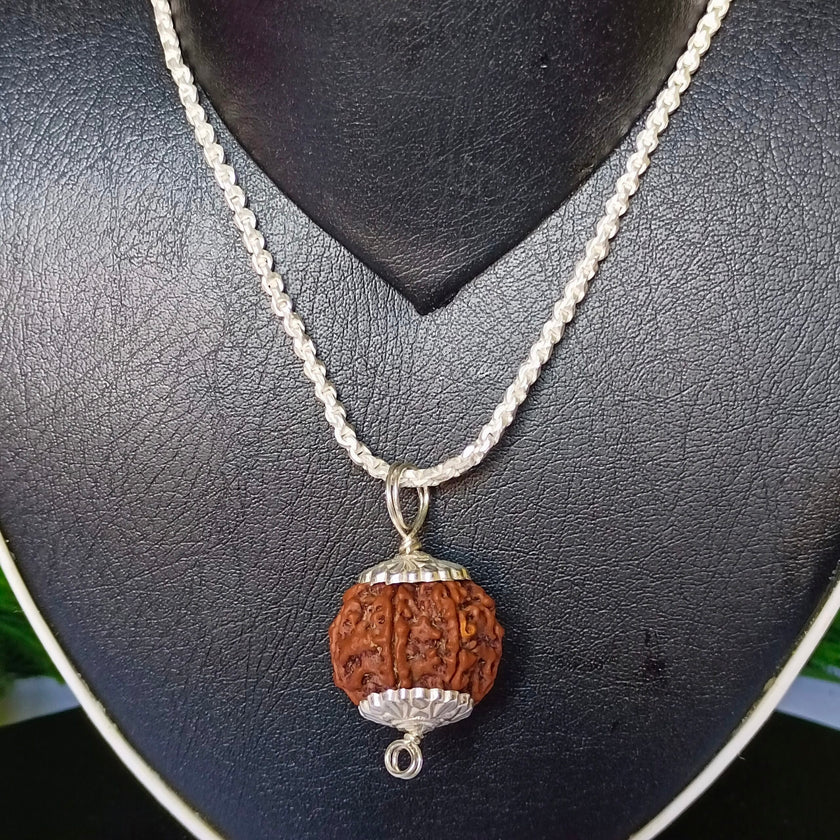 9 Mukhi Rudraksha Silver Chain Pendent - Certified