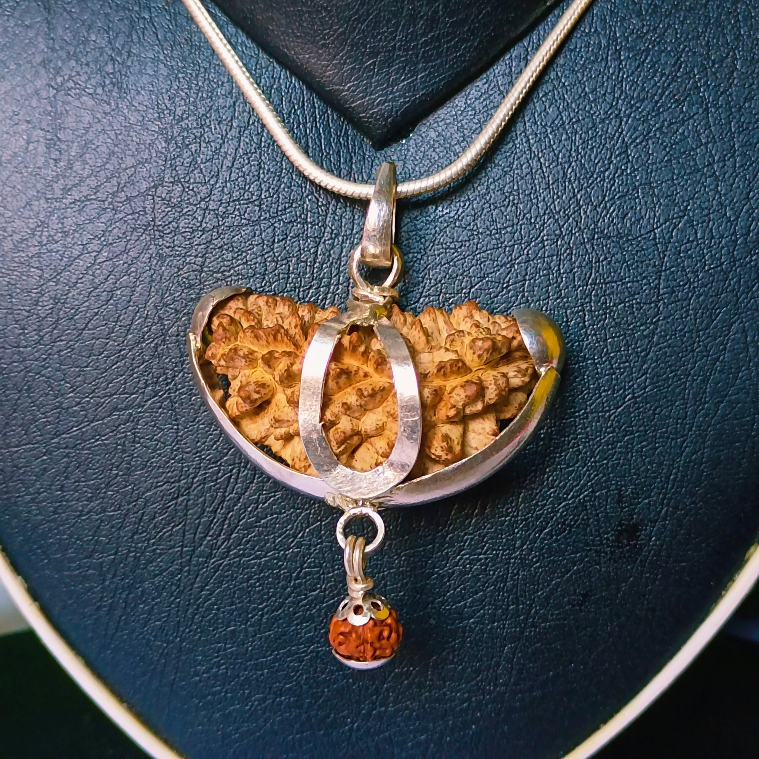 Antique 1 Mukhi Rudraksha Silver Chain Pendent - Certified