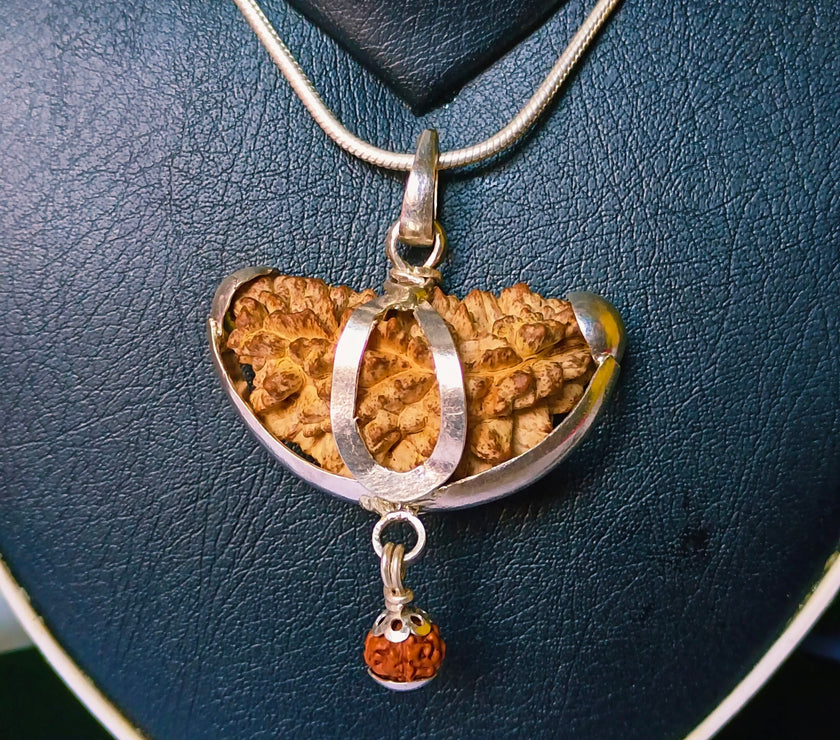 Antique 1 Mukhi Rudraksha Silver Chain Pendent - Certified