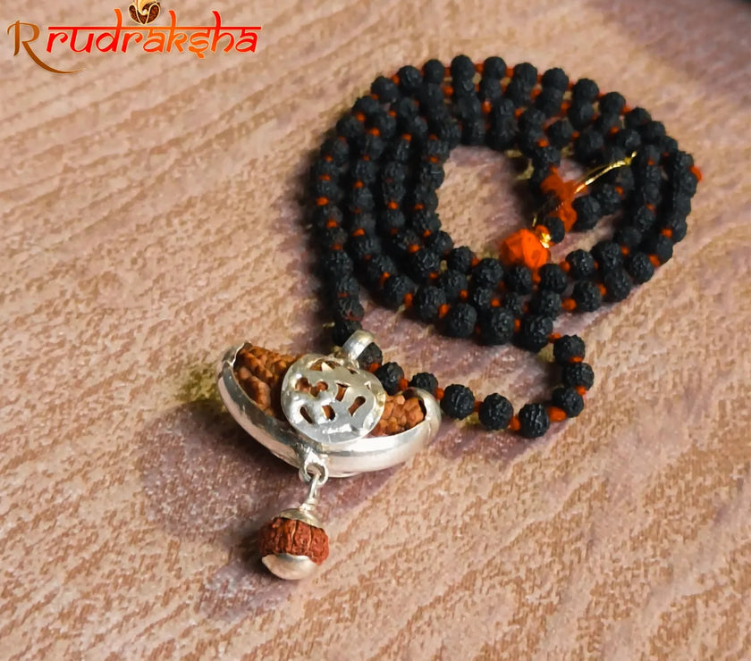 Premium HalfMoonShape 1 Mukhi Rudraksha String With Black Rudraksha Mala