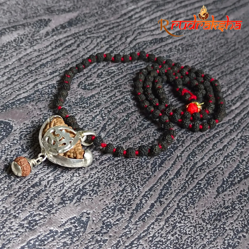 Premium HalfMoonShape 1 Mukhi Rudraksha String With Black Rudraksha Mala