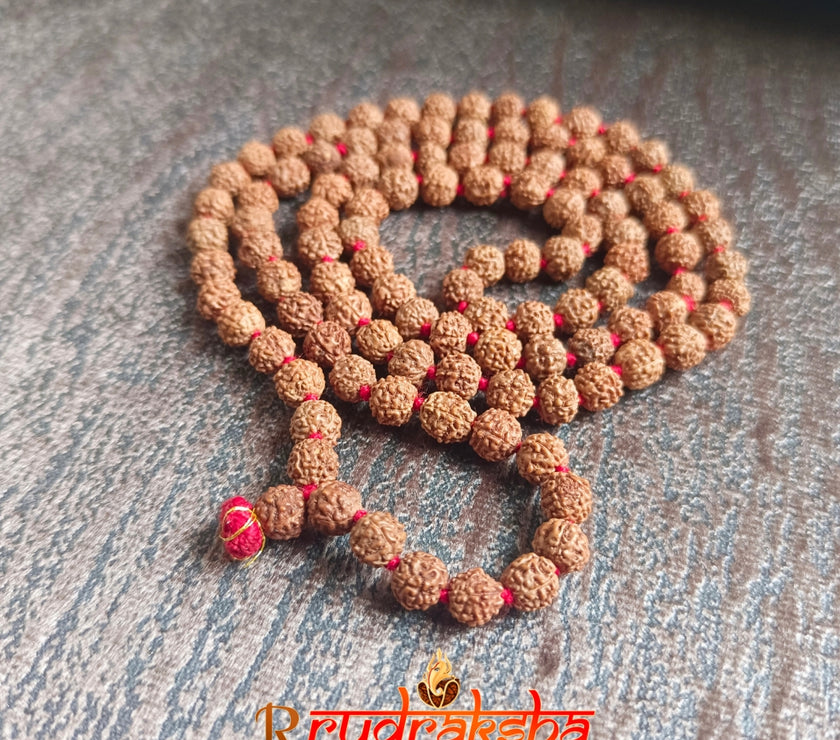 Lab Certified 5 Mukhi Rudraksha Mala Natural Color