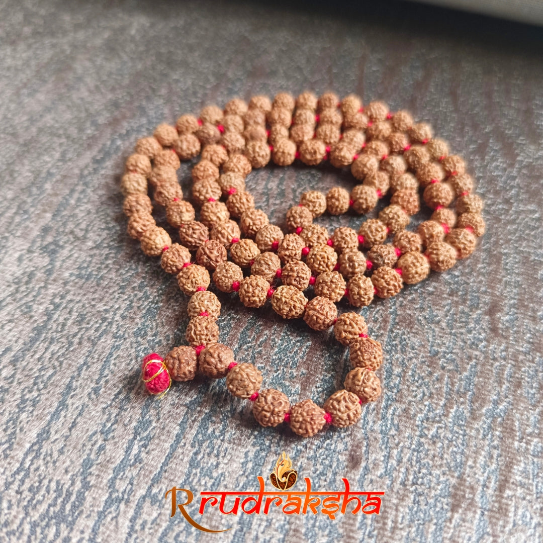 Mull Reksha Lab Certified 5 Mukhi Rudraksha Mala Natural Color