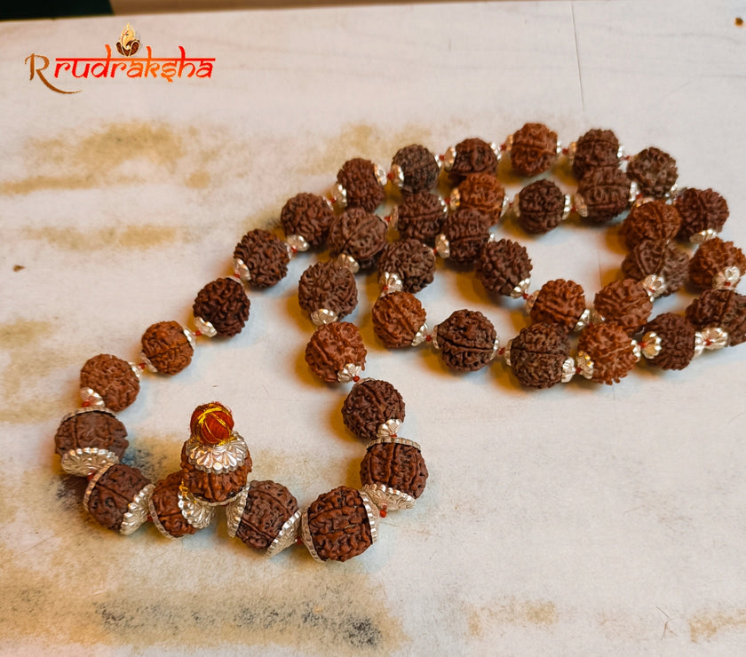 Nepali 7 Mukhi Pure Silver Rudraksha Kantha