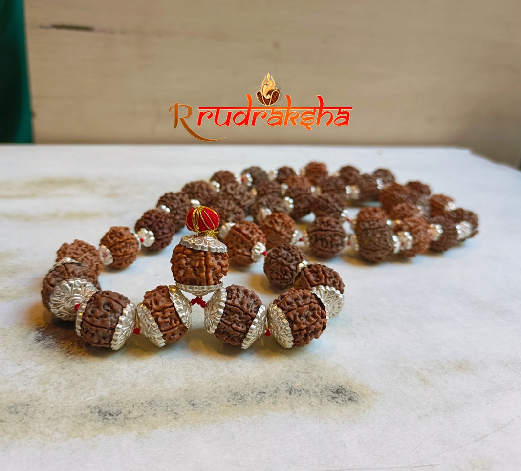 Nepali 5 Mukhi Pure Silver Rudraksha Kantha - Certified