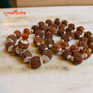 Nepali 5 Mukhi Pure Silver Rudraksha Kantha - Certified