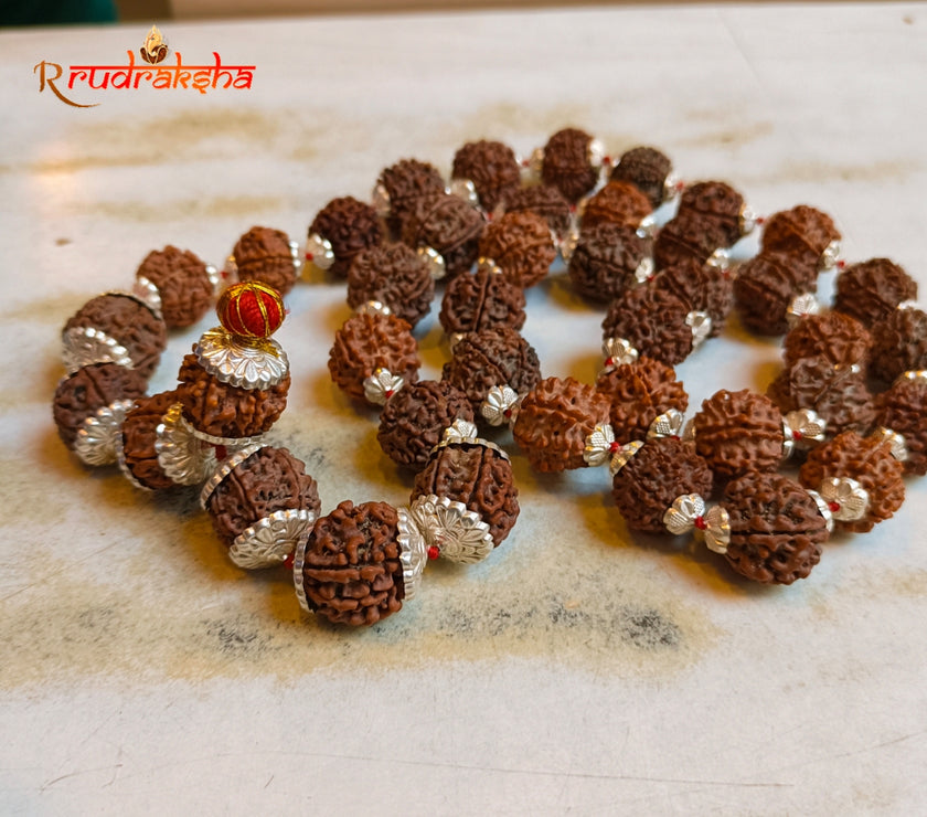 Nepali 5 Mukhi Pure Silver Rudraksha Kantha - Certified