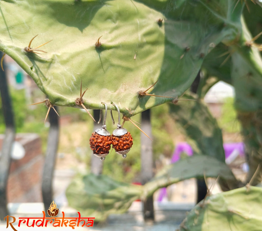 Rudraksha Fashioned Ear Rings