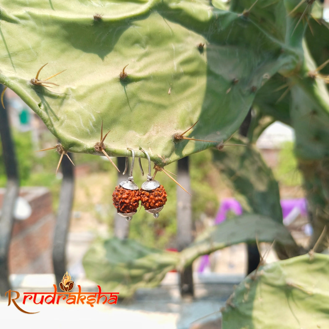 Rudraksha Fashioned Ear Rings