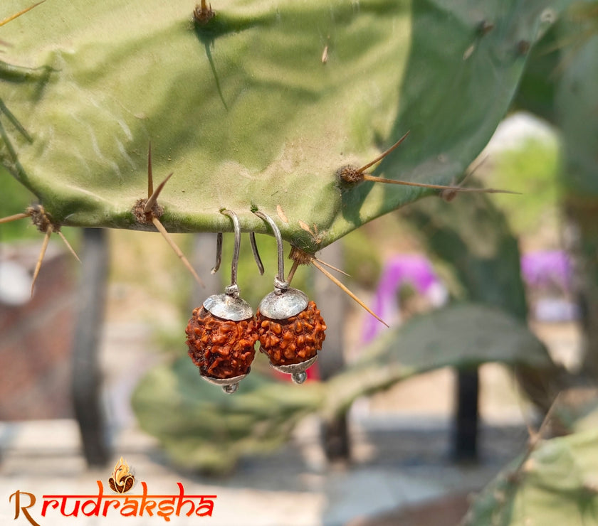 Rudraksha Fashioned Ear Rings