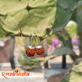 Rudraksha Fashioned Ear Rings