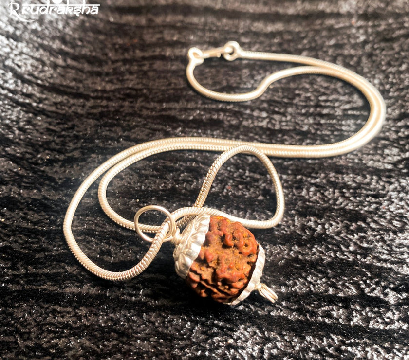 Nepali 3 Mukhi Rudraksha Silver Chain Pendant