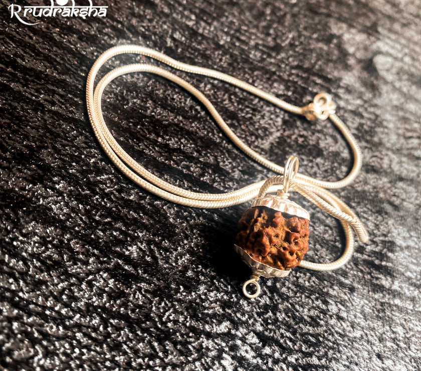 Nepali 3 Mukhi Rudraksha Silver Chain Pendant