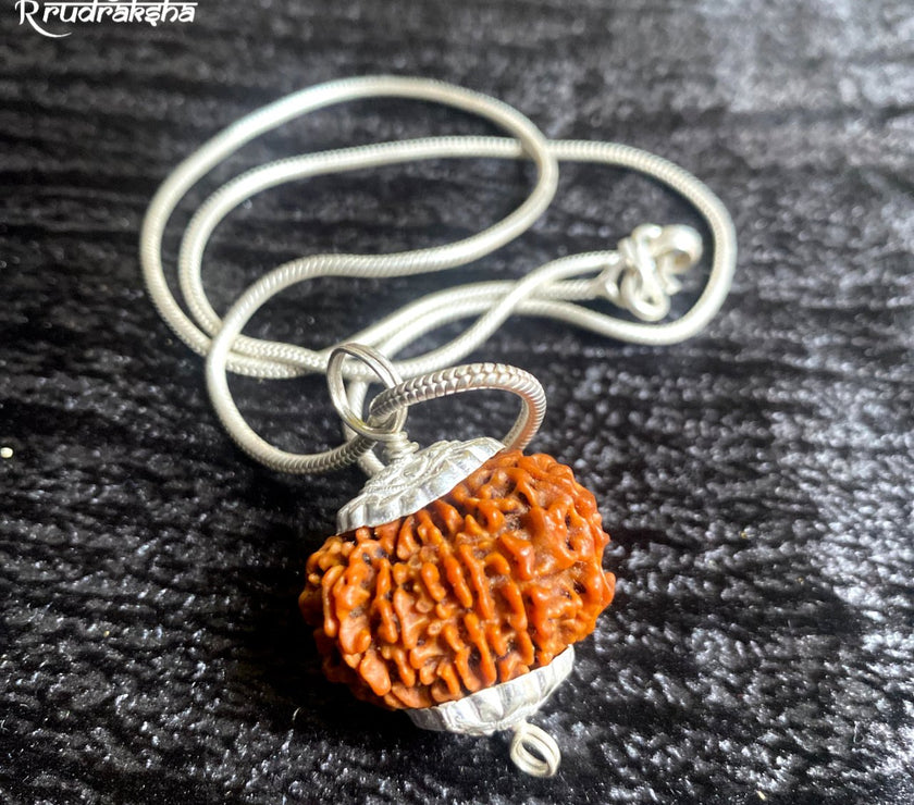 10 Mukhi Rudraksha Silver Chain Pendent - Certified