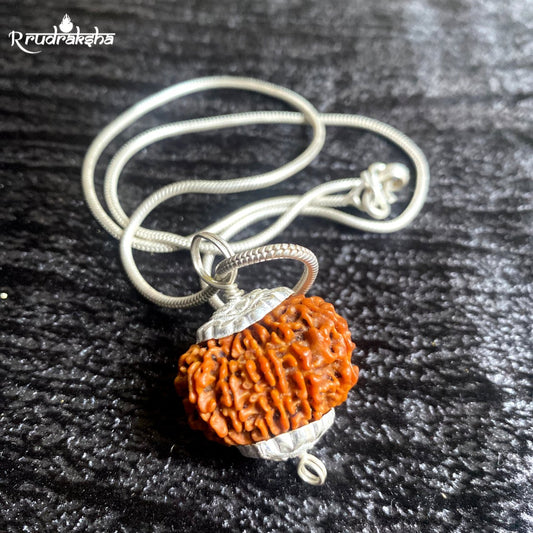 10 Mukhi Rudraksha Silver Chain Pendent - Certified