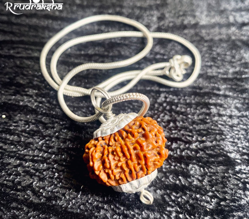 10 Mukhi Rudraksha Silver Chain Pendent - Certified