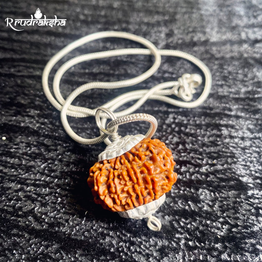 10 Mukhi Rudraksha Silver Chain Pendent - Certified