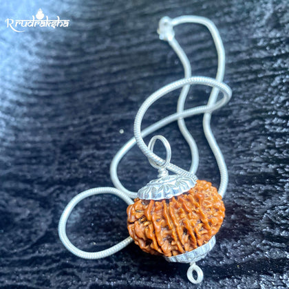 14 Mukhi Rudraksha Silver Chain Pendent - Certified