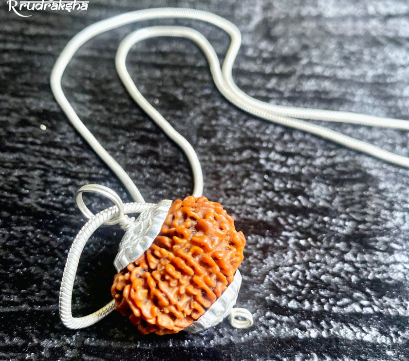 Nepali 11 Mukhi Rudraksha Silver Chain Pendent