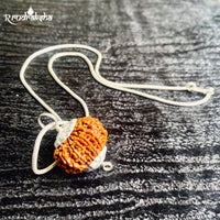 10 Mukhi Rudraksha Silver Chain Pendent - Certified