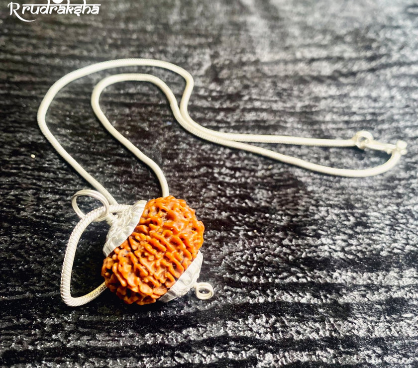 Nepali 11 Mukhi Rudraksha Silver Chain Pendent
