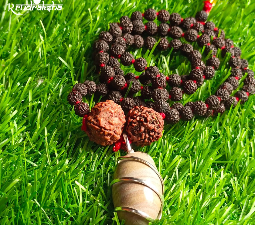 Narmdeshwar Punchmukhi Black Rudraksha Mala