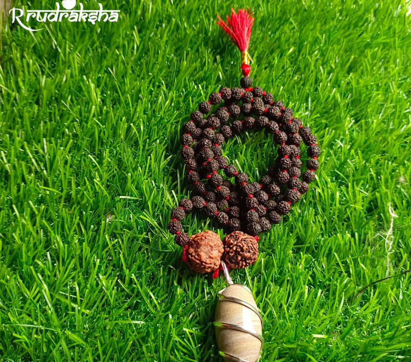 Narmdeshwar Punchmukhi Black Rudraksha Mala