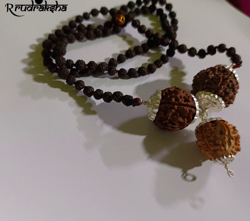 Rudraksha Saraswati Kawach with Black Punchmukhi Rudraksha Mala