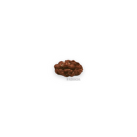 Indonesian 1 Mukhi Rudraksha Lab Certified