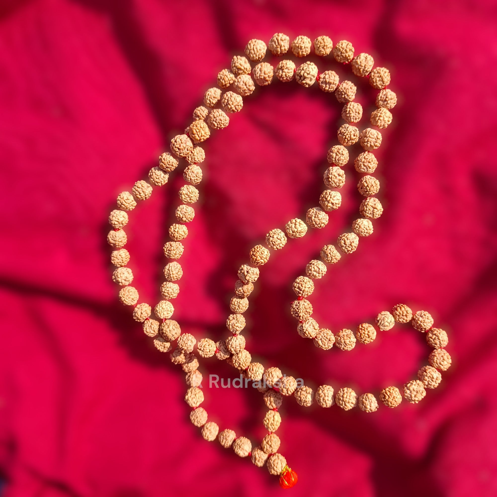 Lab Certified 5 Mukhi Rudraksha Mala Natural Color