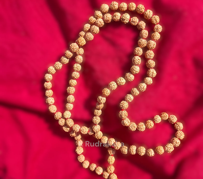 Lab Certified 5 Mukhi Rudraksha Mala Natural Color