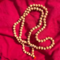 Lab Certified 8 Mukhi Rudraksha Mala